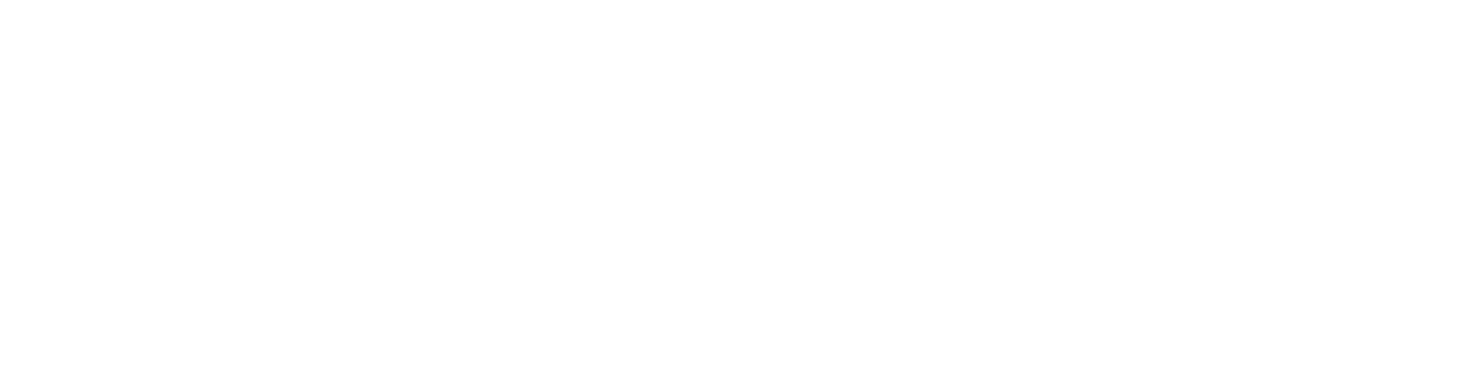 SA Future